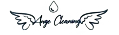 Ange-Cleaning-Belgique